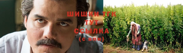 шишки Михайловск