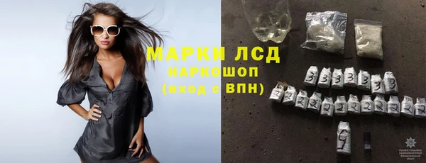 шишки Михайловск