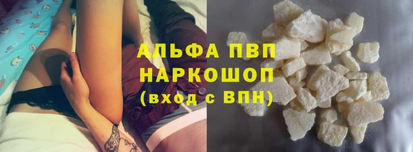 шишки Михайловск