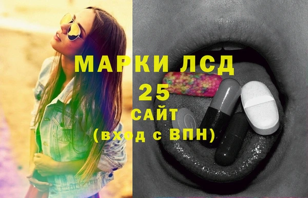 шишки Михайловск