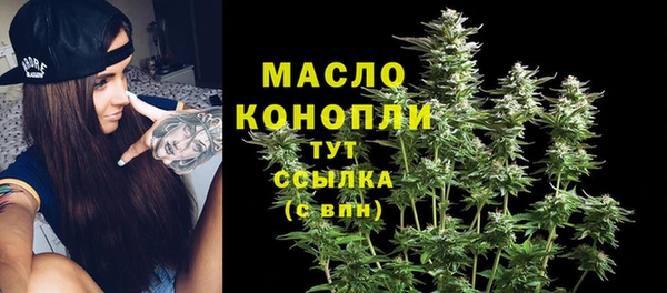 шишки Михайловск