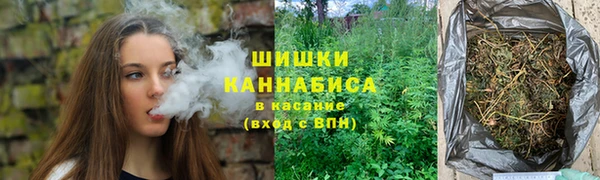 шишки Михайловск