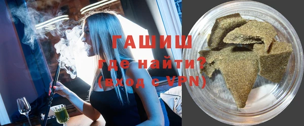хмурый Долгопрудный